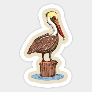 Brown Pelican Sticker